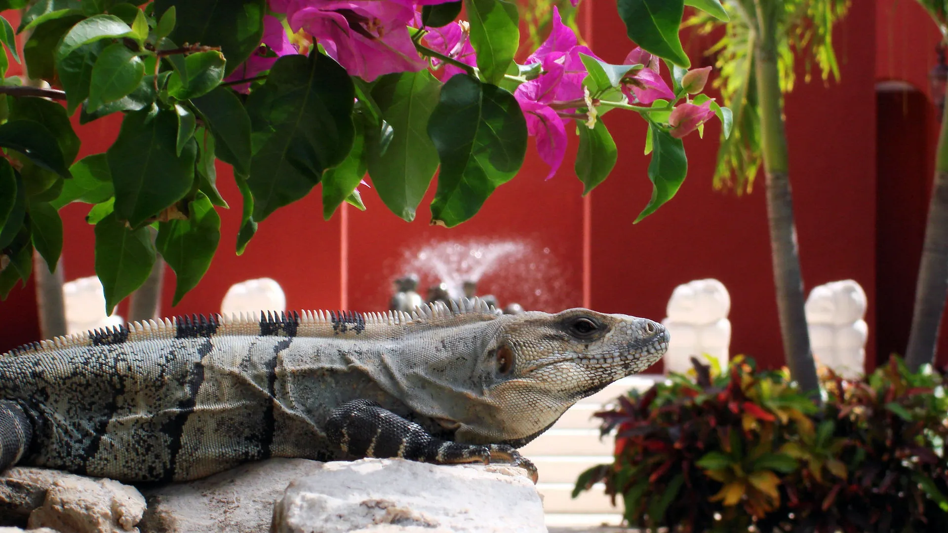 Paraiso De La Bonita Adult All-Inclusive, A Luxury Collection Resort Puerto Morelos